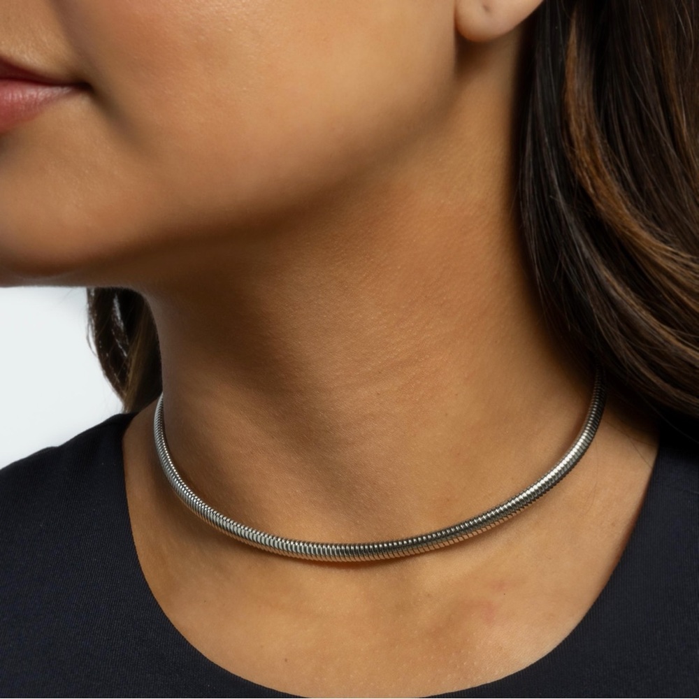 Silver Choker Necklace